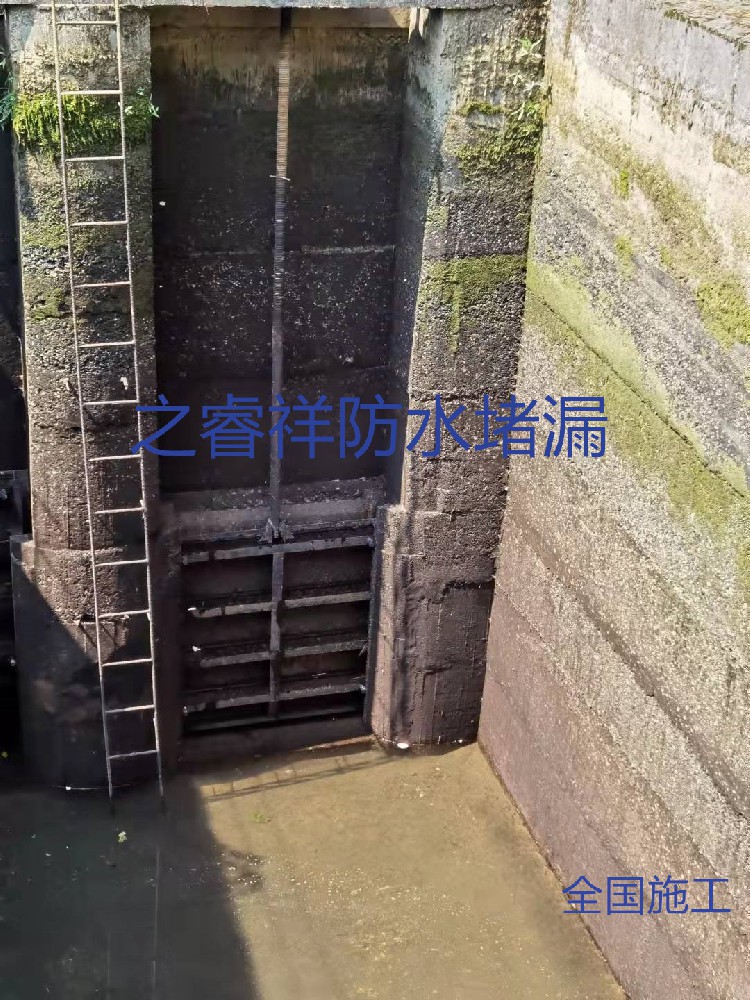 水電站閘門(mén)維修堵漏